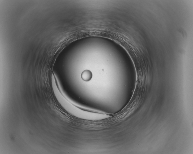 X0000112471252200908311343