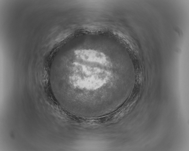 X0000112471253200908311343