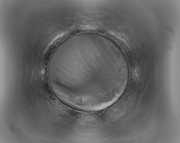 X0000112471254200908311343