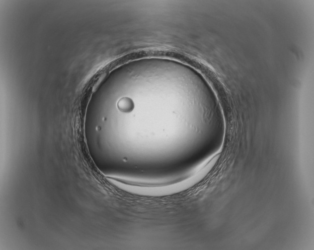 X0000112471255200908311343