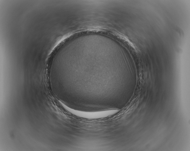 X0000112471256200908311342