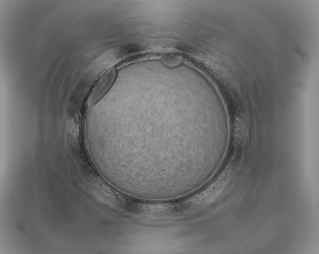 X0000112471257200908311342