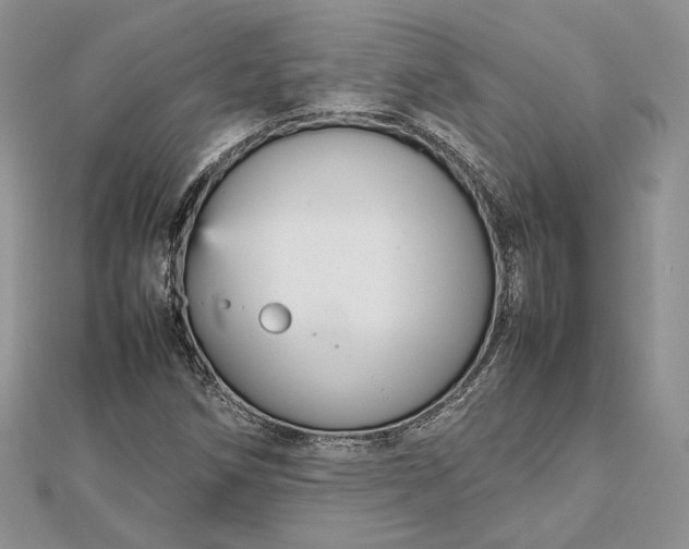 X0000112471258200908311342