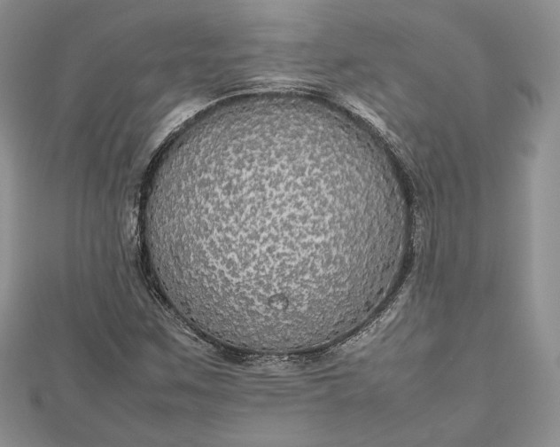 X0000112471259200908311342