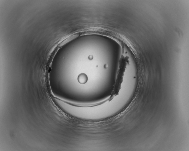 X0000112471260200908311342