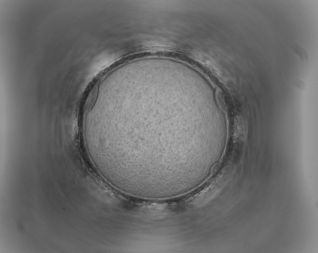 X0000112471261200908311342