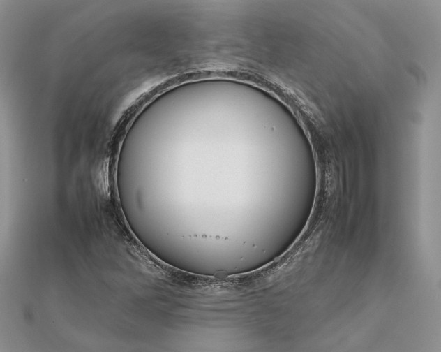 X0000112471262200908311342