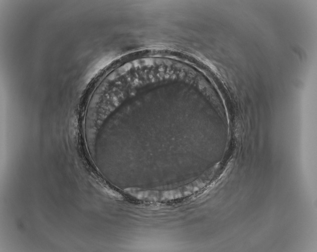 X0000112471263200908311342