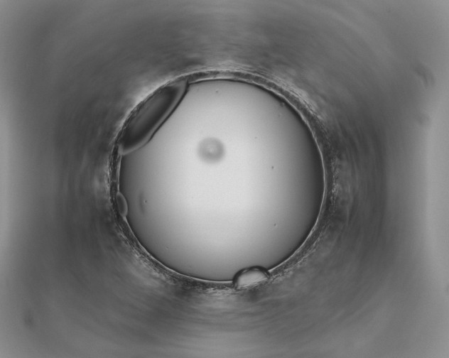 X0000112471264200908311342