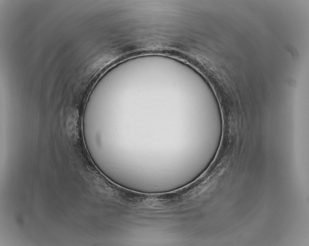 X0000112471265200908311342