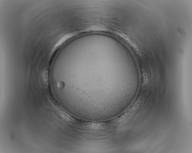 X0000112471266200908311342