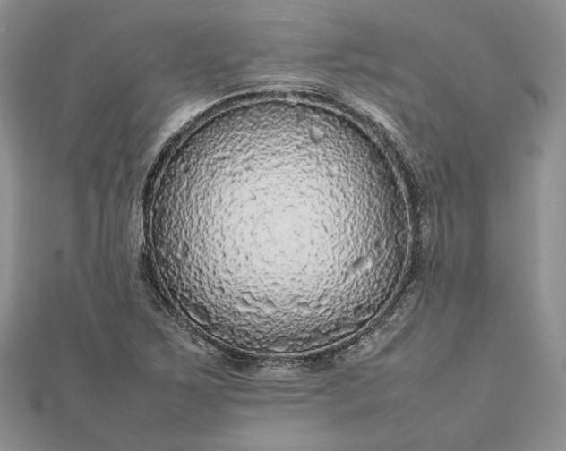 X0000112471267200908311342