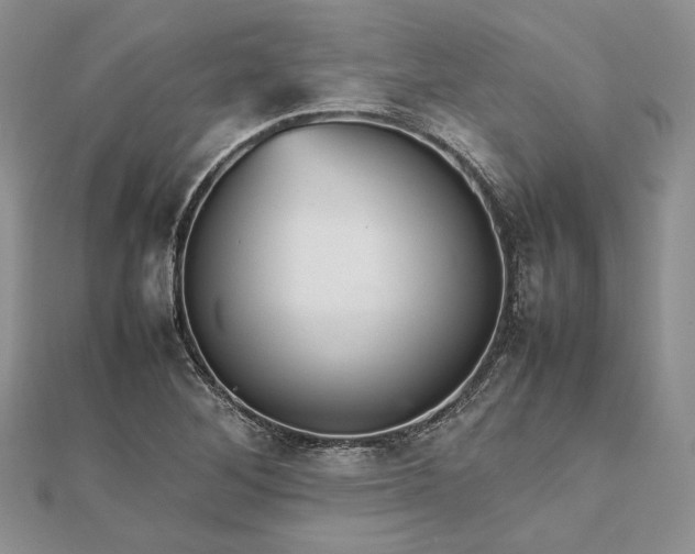 X0000112471268200908311342