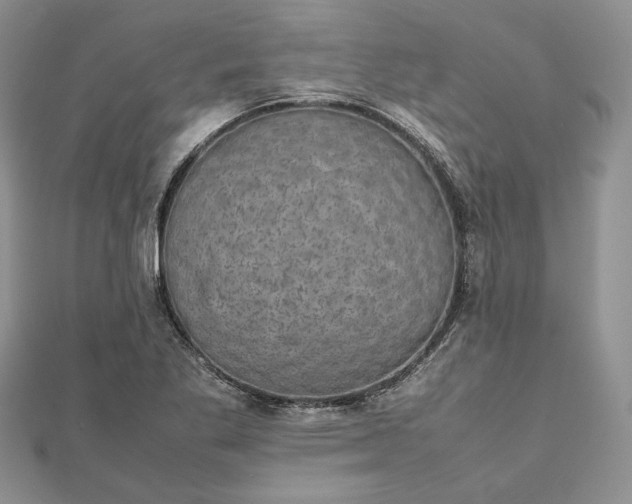 X0000112471269200908311342