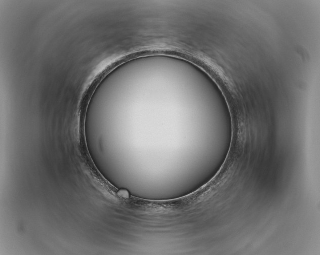 X0000112471270200908311342