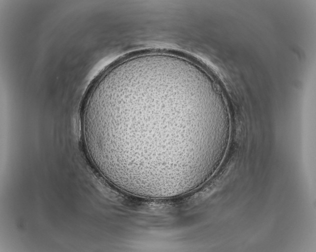 X0000112471271200908311342