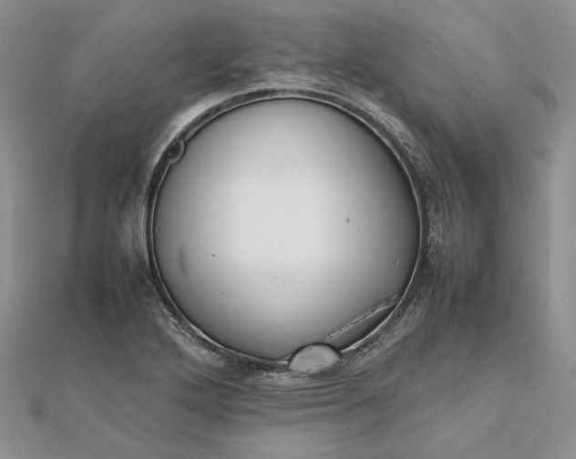 X0000112471272200908311342