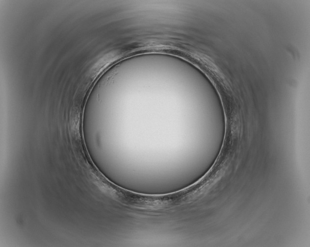 X0000112471273200908311342