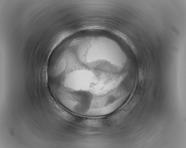 X0000112471274200908311342