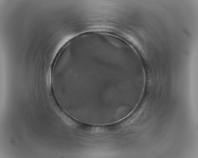 X0000112471275200908311342