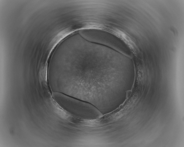 X0000112471276200908311342