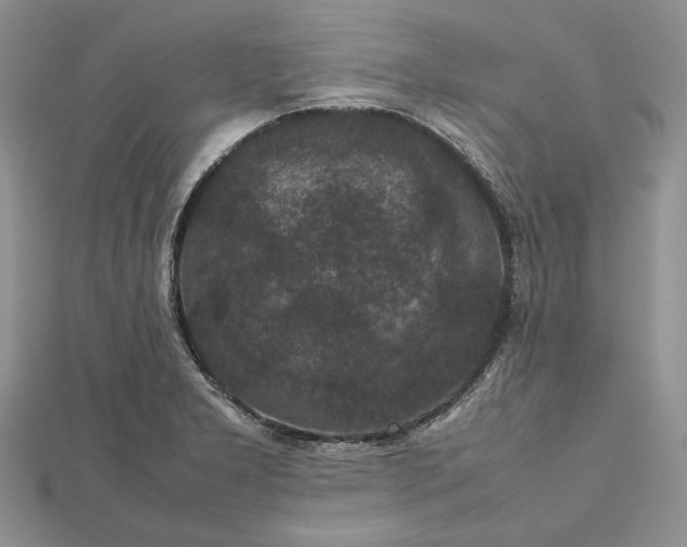 X0000112471277200908311342