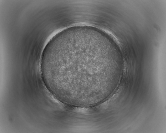 X0000112471278200908311342