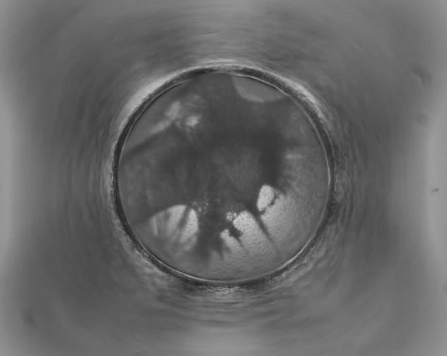 X0000112471279200908311342