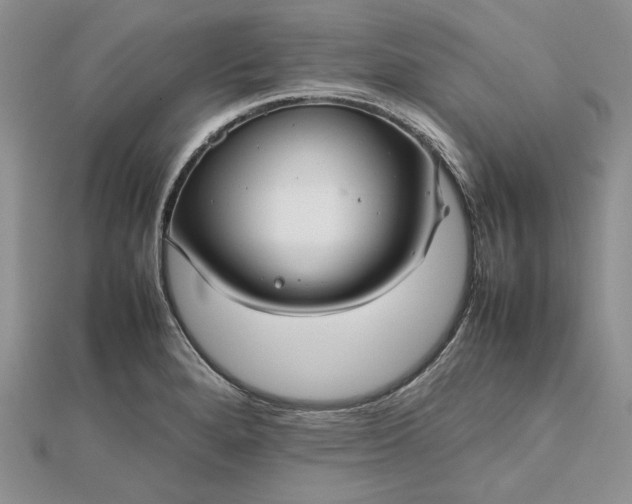 X0000112471280200908311342