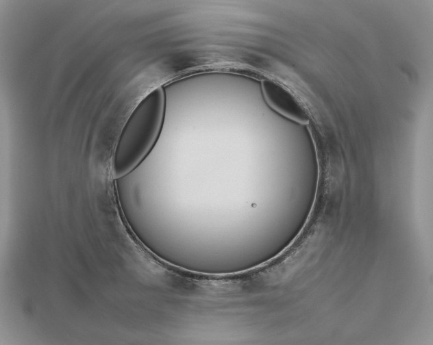 X0000112471281200908311342