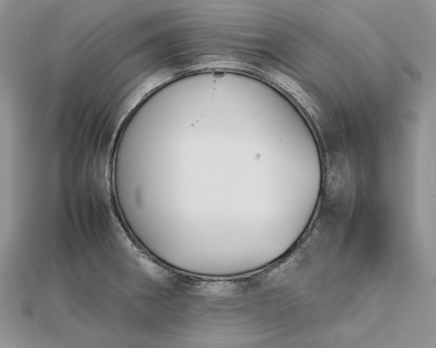 X0000112471282200908311342