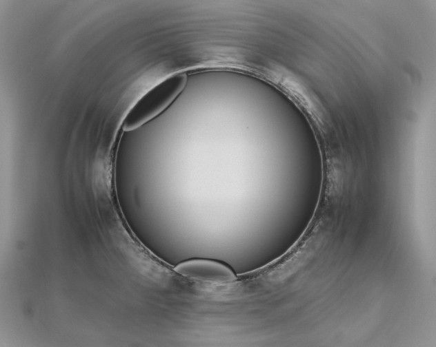 X0000112471284200908311342