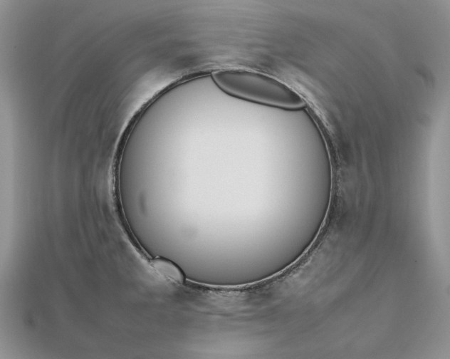 X0000112471285200908311342