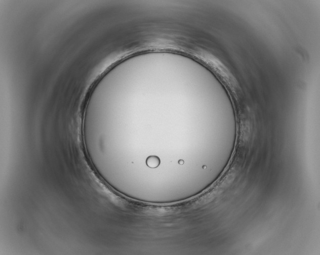 X0000112471286200908311342