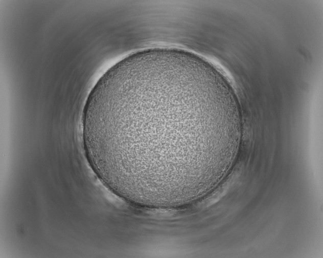 X0000112471287200908311342