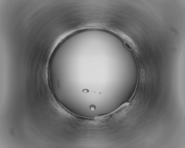 X0000112471288200908311342