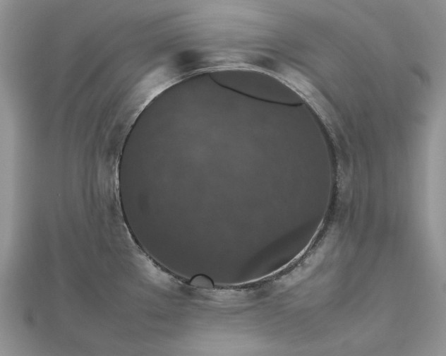 X0000112471289200908311342