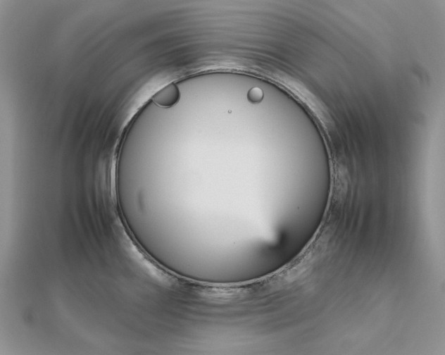 X0000112471290200908311342