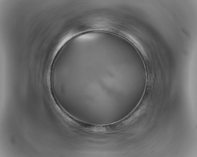 X0000112471291200908311342