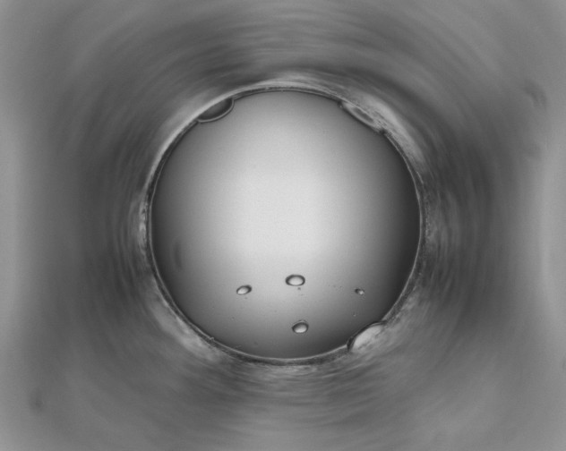 X0000112471292200908311342