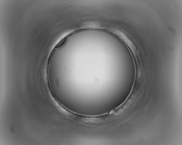 X0000112471293200908311342