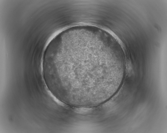 X0000112471294200908311342