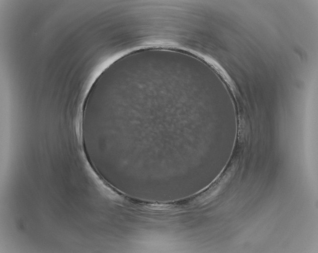 X0000112471295200908311342