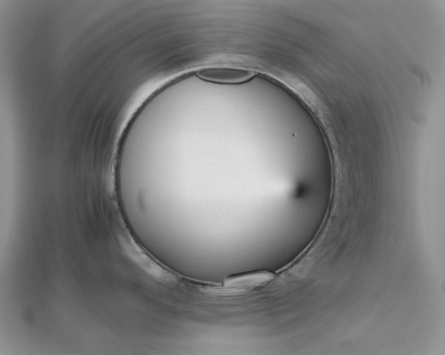 X0000112471296200908311342