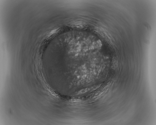 X0000112471297200908311341