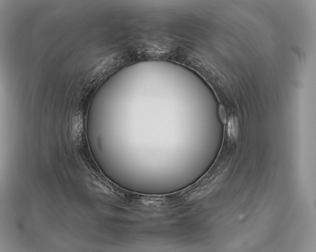 X0000112471299200908311341