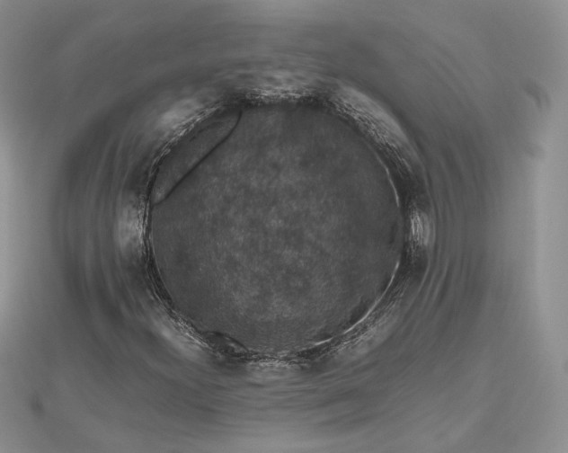 X0000112471300200908311341