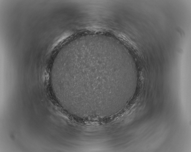 X0000112471302200908311341