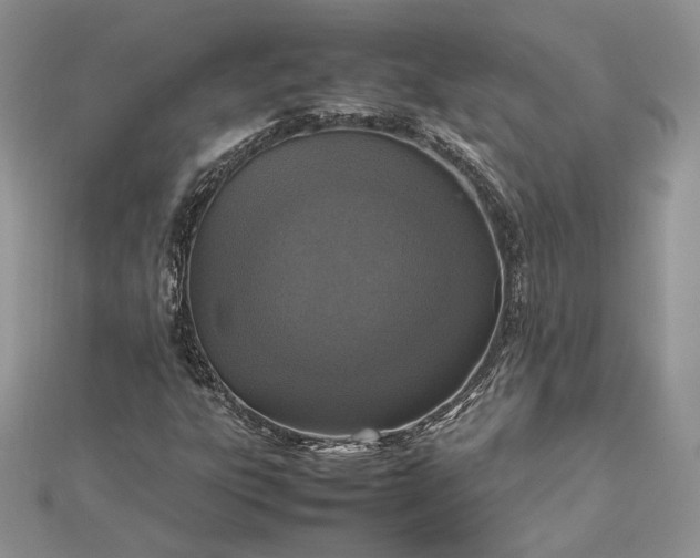 X0000112471303200908311341