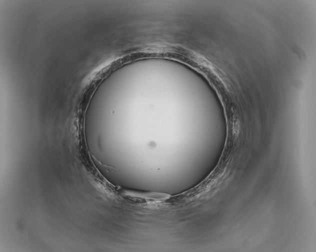 X0000112471304200908311341